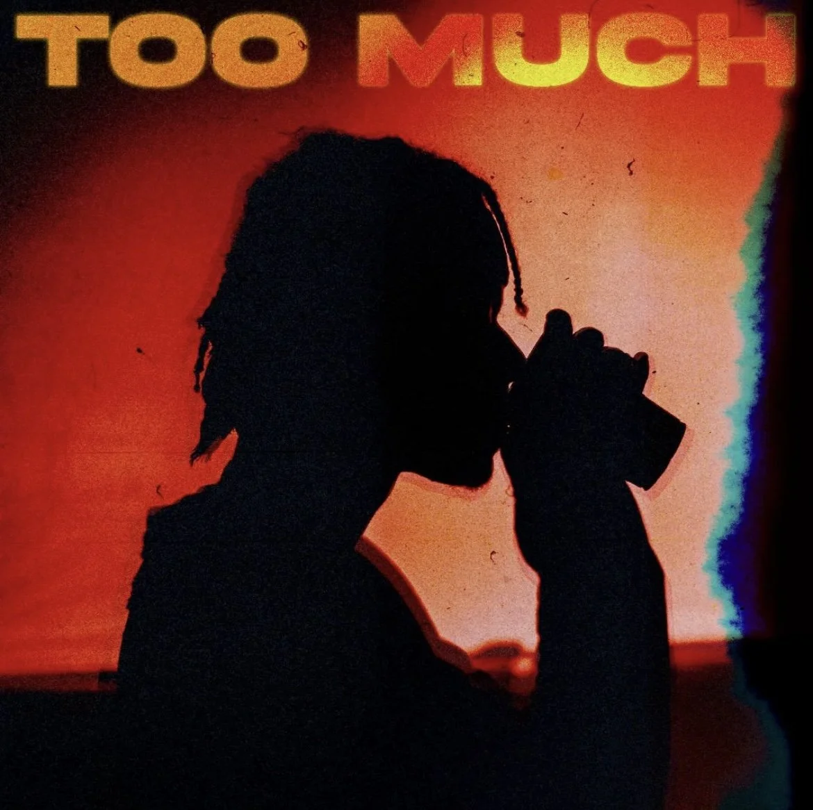 Too Much by J-Soul