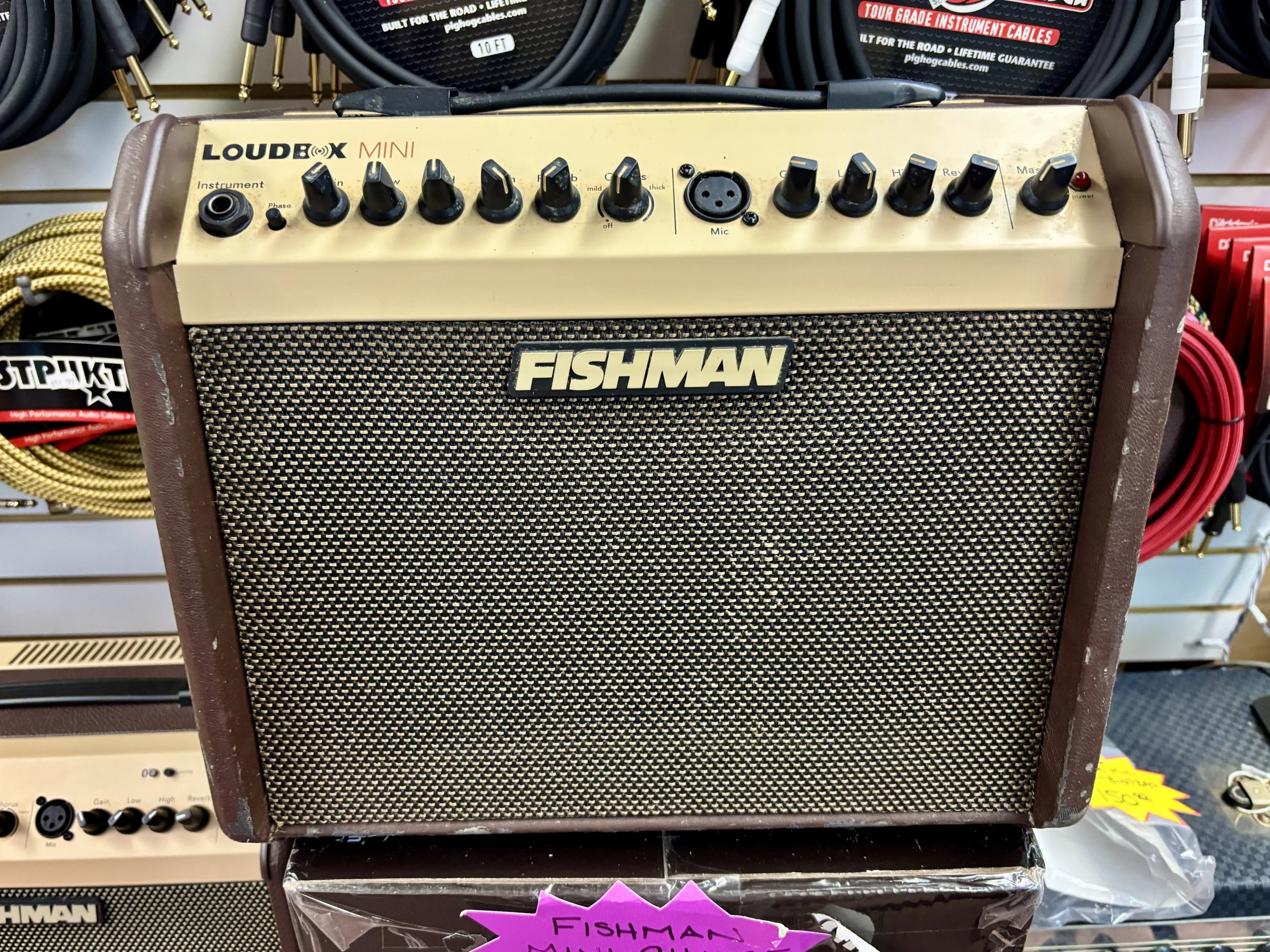 Fishman Loudbox Mini