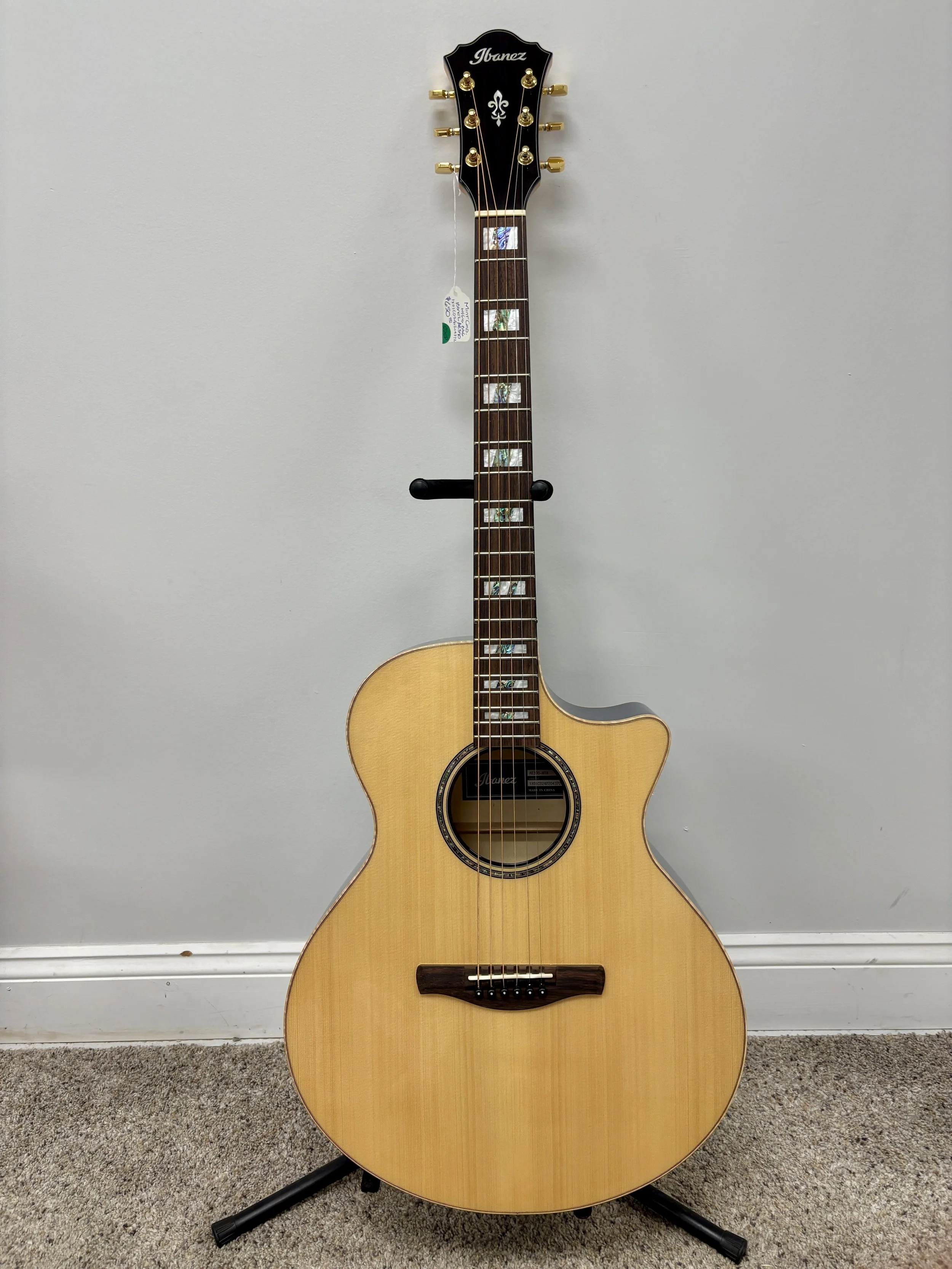 Ibanez AE390