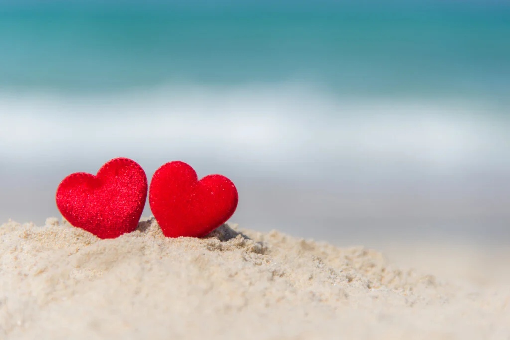 Coastal Cleanup February 13th