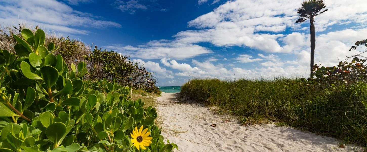 Big Beach Cleanup Whiskey Creek Hideout, Dania Beach