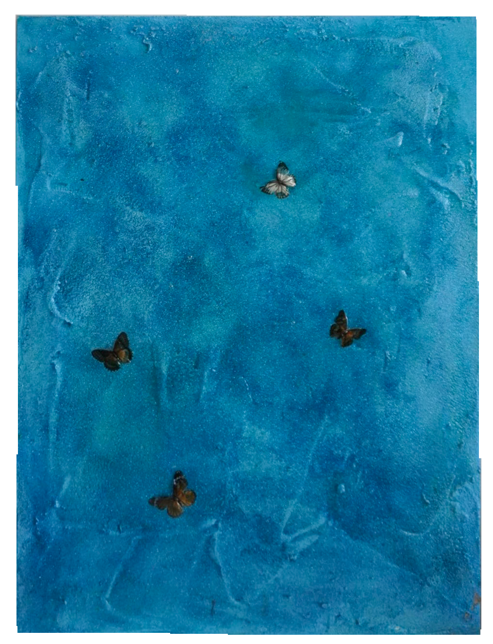 DSC01676 (1).png