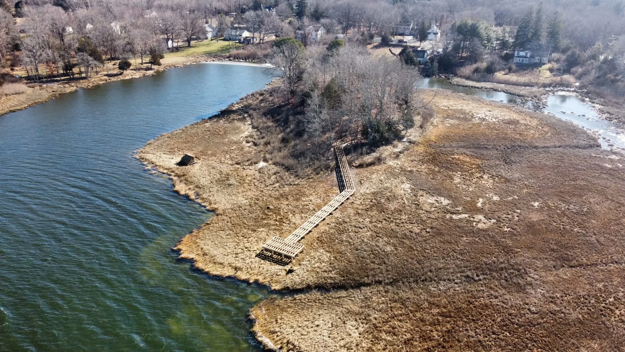 Kingdom-Forestry-Products_Reeves Bay-4.jpeg