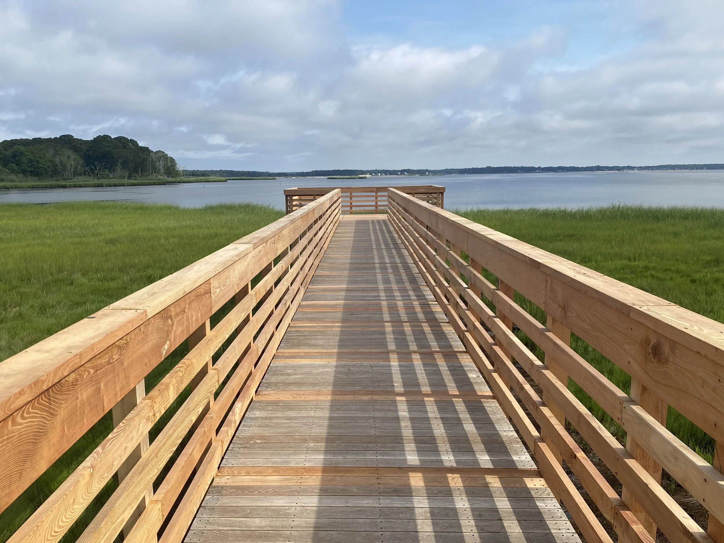 Kingdom-Forestry-Products_Reeves Bay-10.jpeg