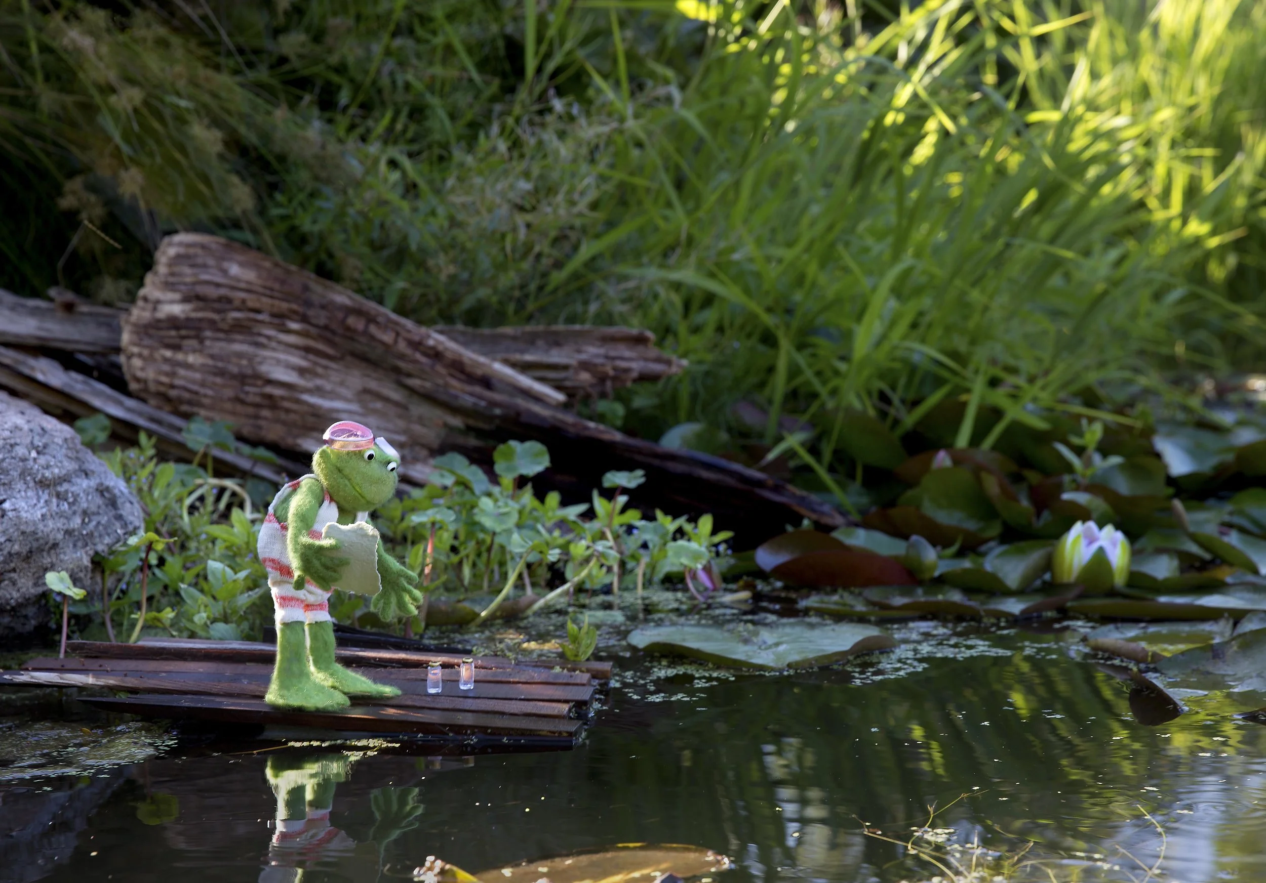 HF.p.2.FullTitle. 6.75.350dpi.UM.flat.rgb.jpg