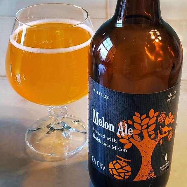 Spring is in the air and in your glass 🌻⁠
⁠
Enjoy a deliciously sweet blend of cantaloupe and honeydew, all within the bottle of an ale.⁠
.⁠
.⁠
.⁠
.⁠
.⁠
.⁠
#craftbeer #beer #beers #beerchat #craftbrew #craftbeergeek #beerstagram #beerpulse #beergeek