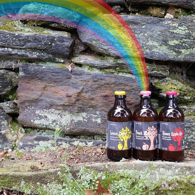 Looks like there's gold at the end of the rainbow after all!⁠
⁠
Wishing everyone a wonderful St. Patrick's Day 🍀⁠
.⁠
.⁠
.⁠
.⁠
.⁠
#hokkaidobrewing #hokkaidobeers #beerstagram #cheers #craftbeers #drinkcraft #philly #philadelphia #phillybars #beer #dr