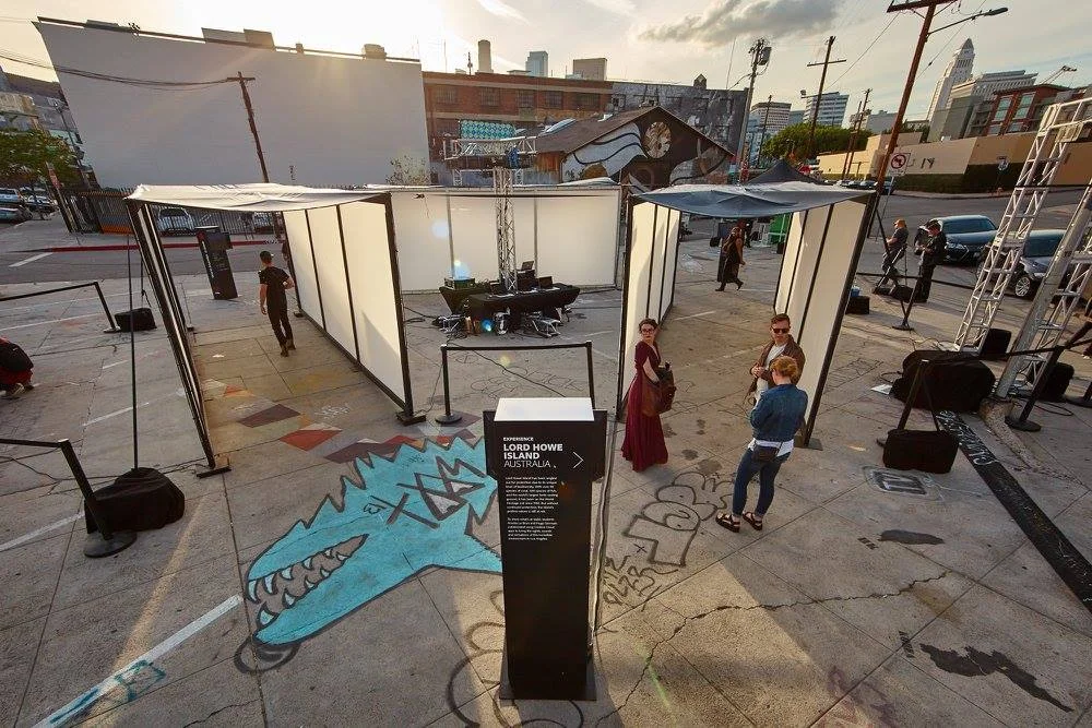 ADOBE_CC_BloomSquare.01.jpg