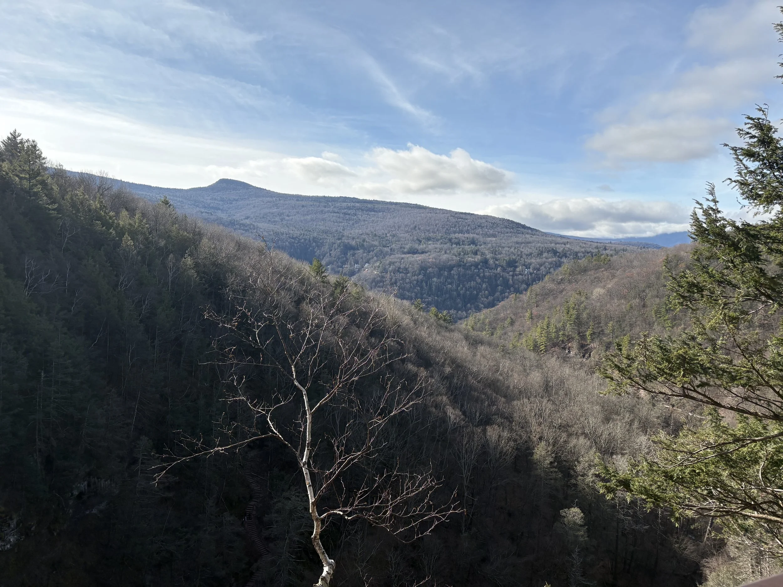 Can a Speech Coach Help With Public Speaking Anxiety? What You Need to Know