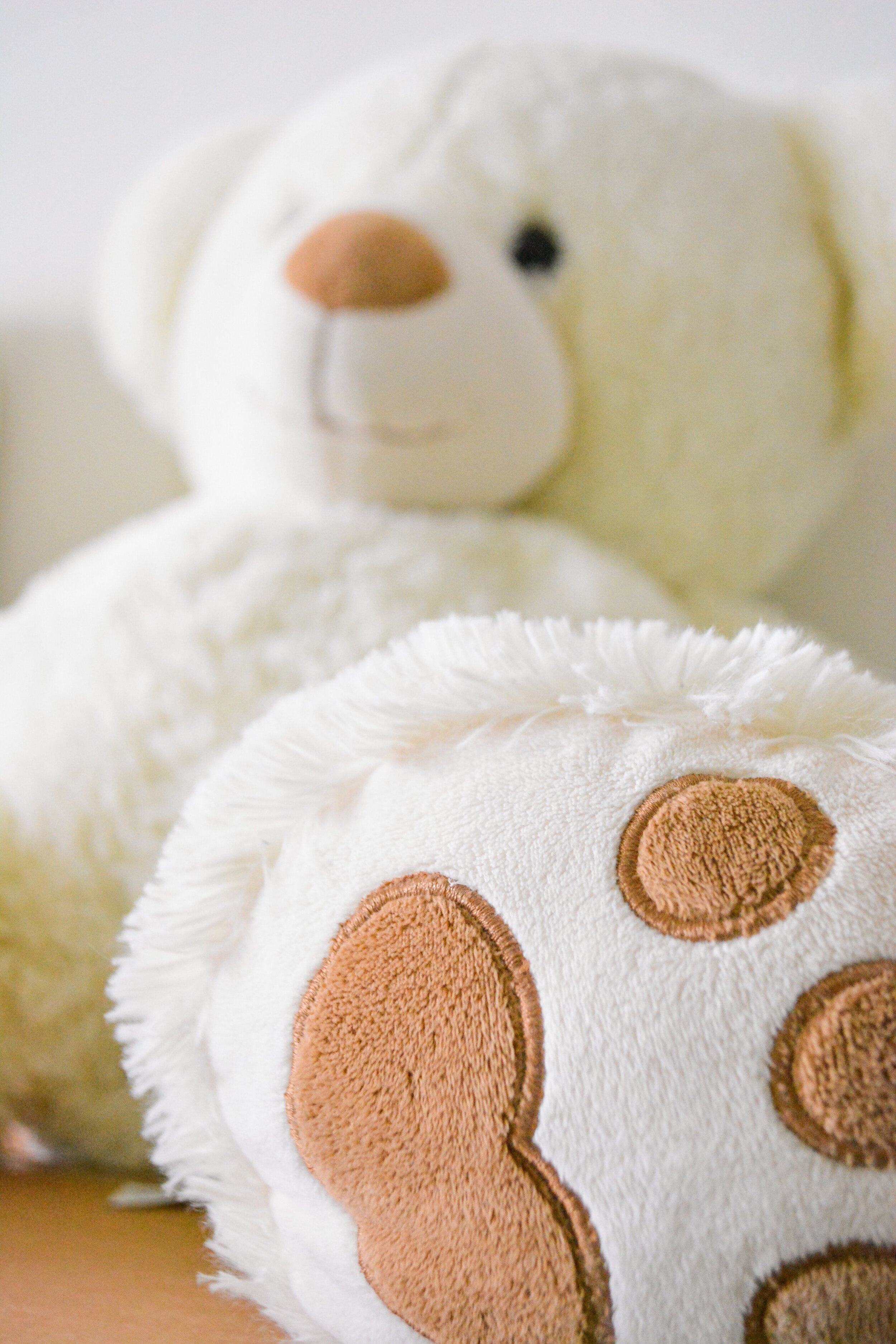 white-and-brown-bear-plush-toy-selective-photo-754178.jpg