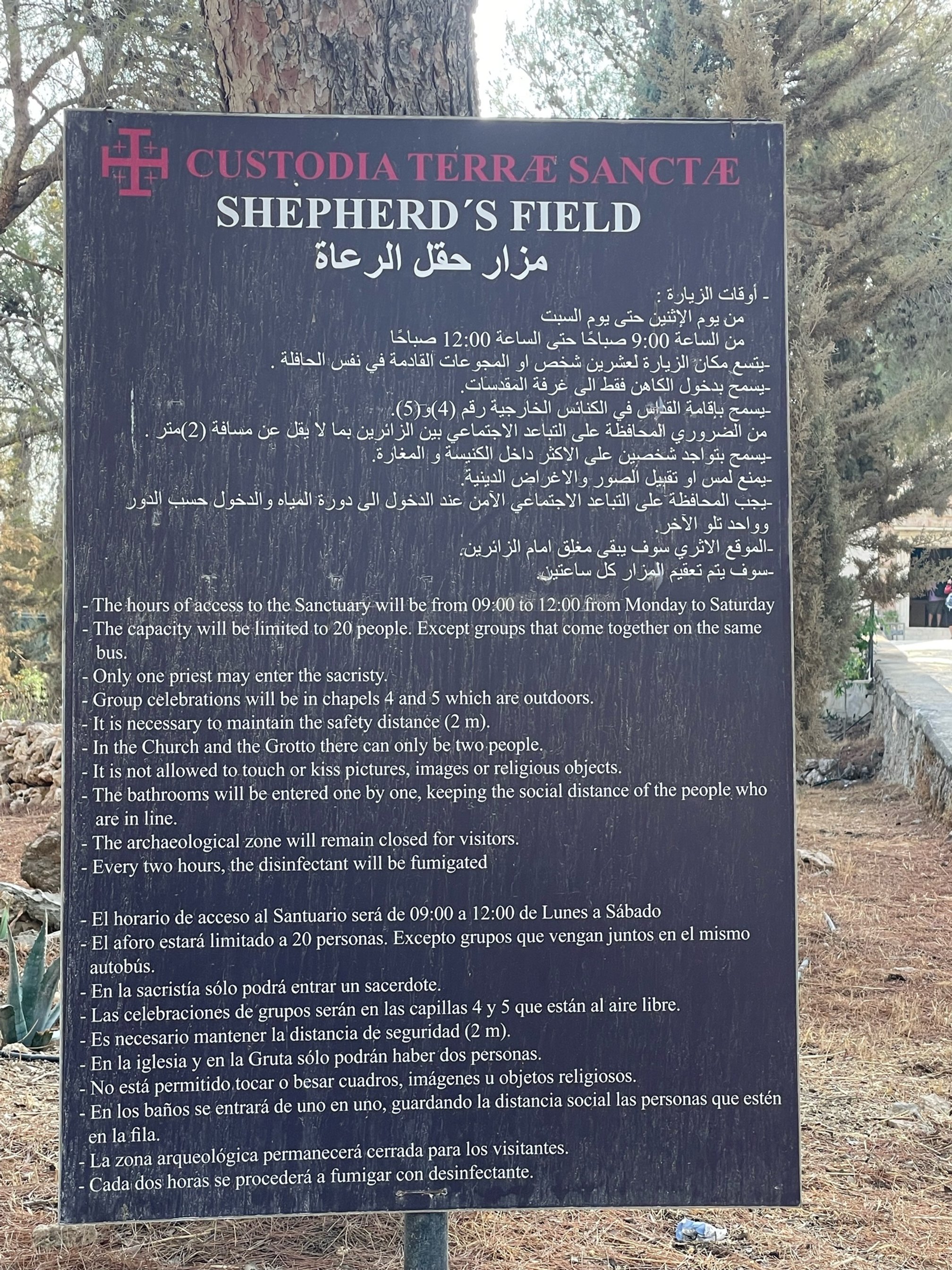 Shepherd's Field