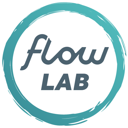 Flow Lab