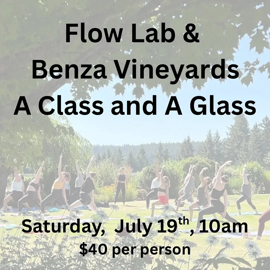 Yoga in the vineyard is back for another summer! First class is Saturday, July 19th at 10a! First we yoga then we enjoy our glass of wine. 
Please bring your yoga mat. 

Link in bio to register! 🧘🏻&zwj;♀️🍷