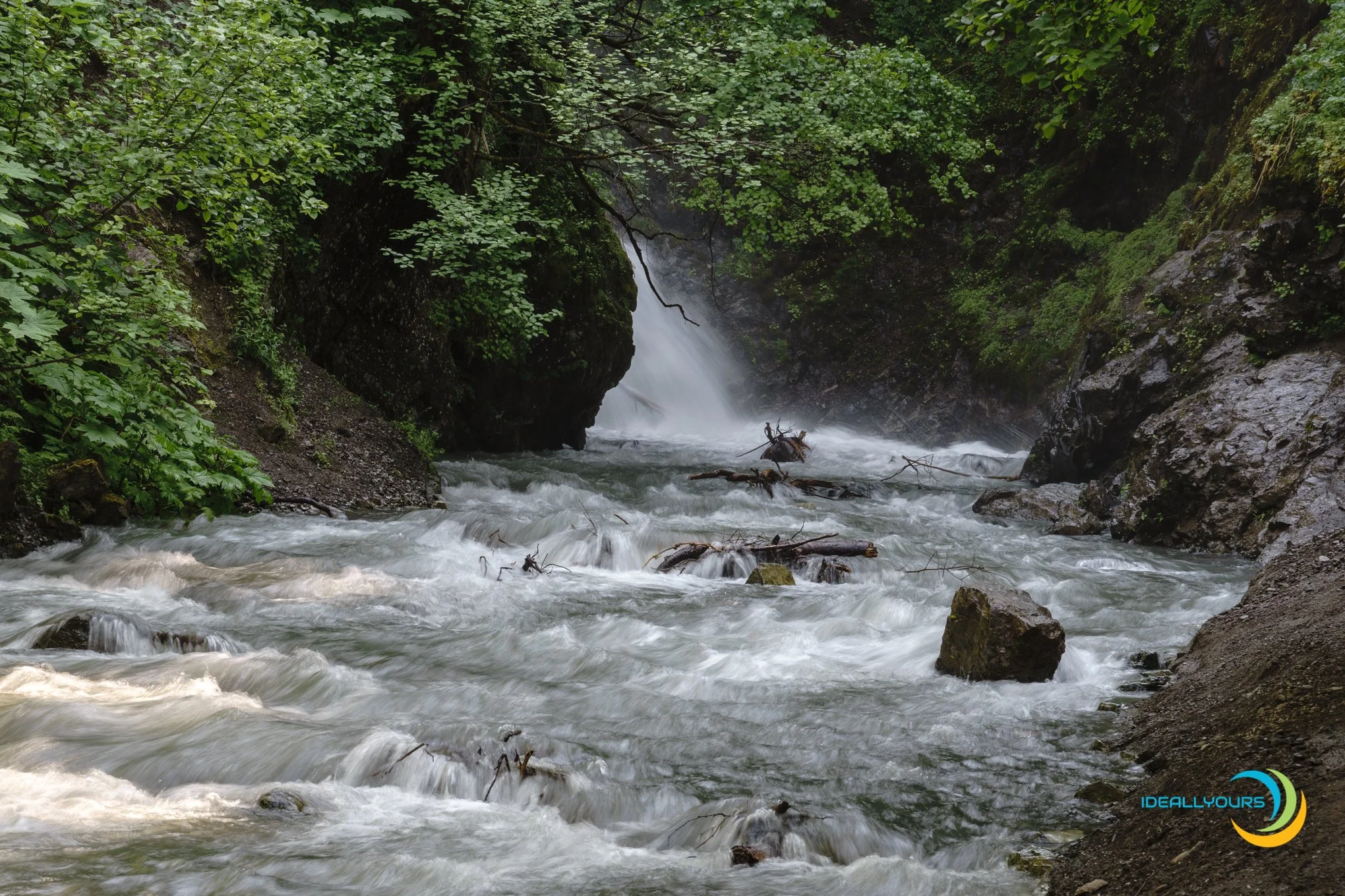 IDY06005_Anchroage Trip-  6-27-19_.JPG