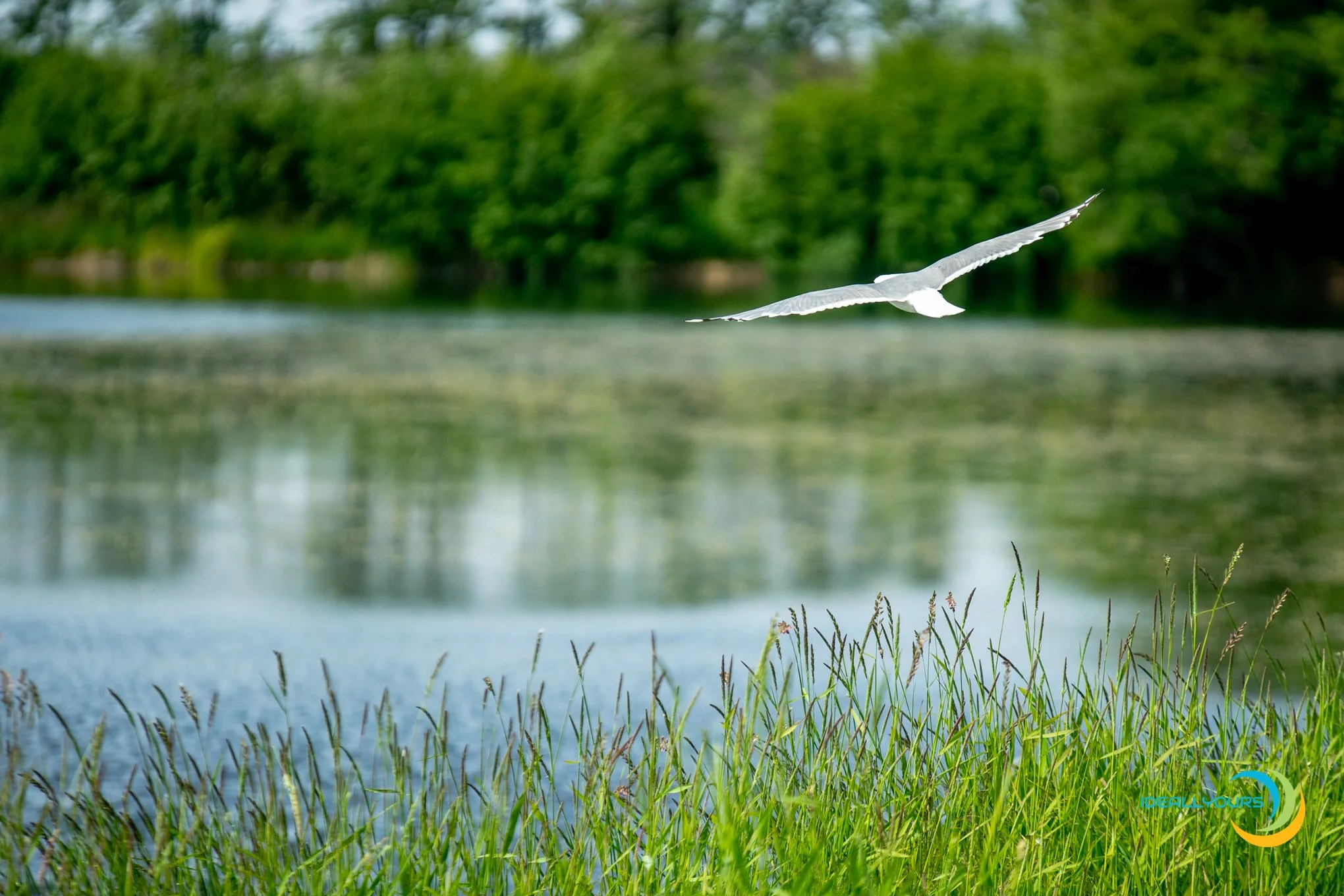 IDY06109_Anchroage Trip-  6-27-19_.JPG