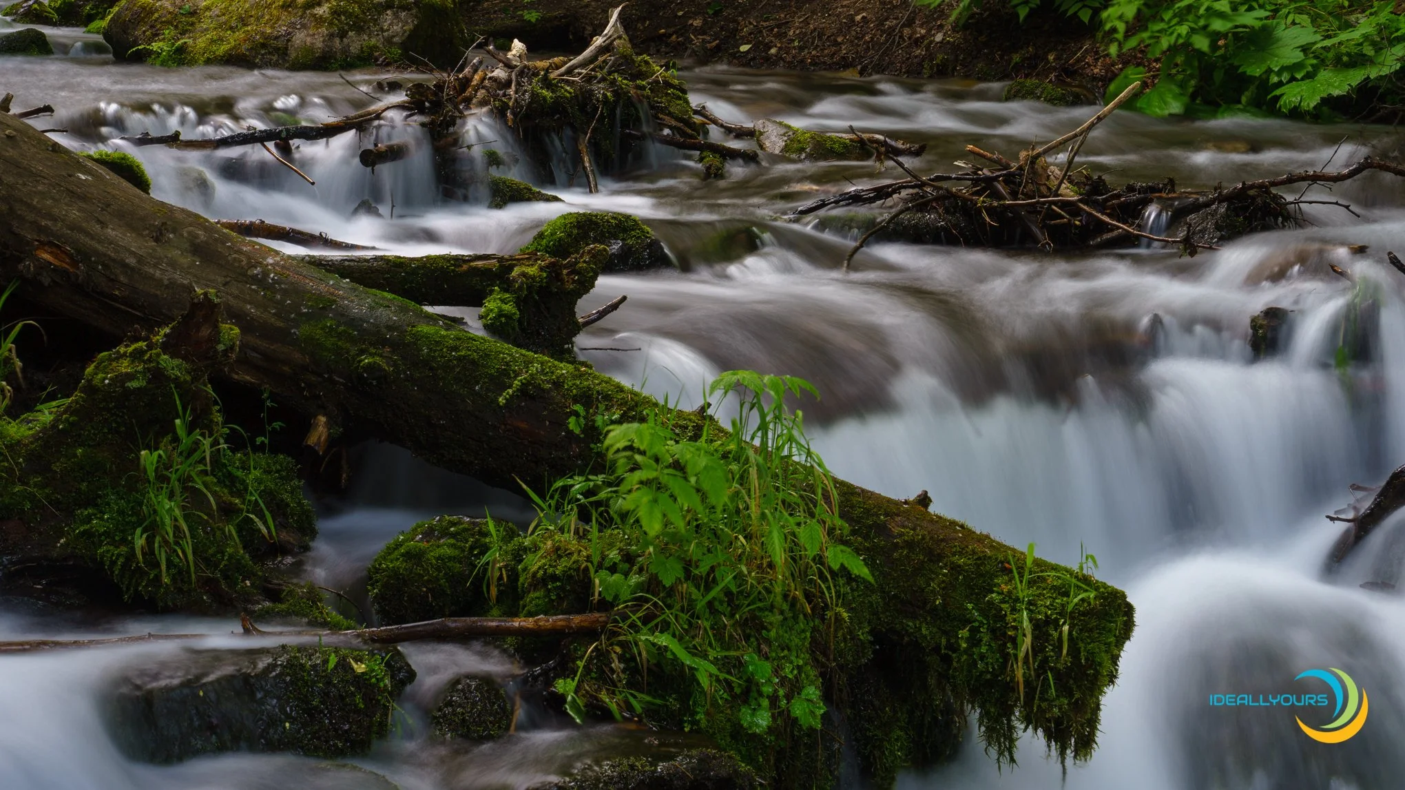 IDY06267_Anchroage Trip-  6-27-19_.JPG