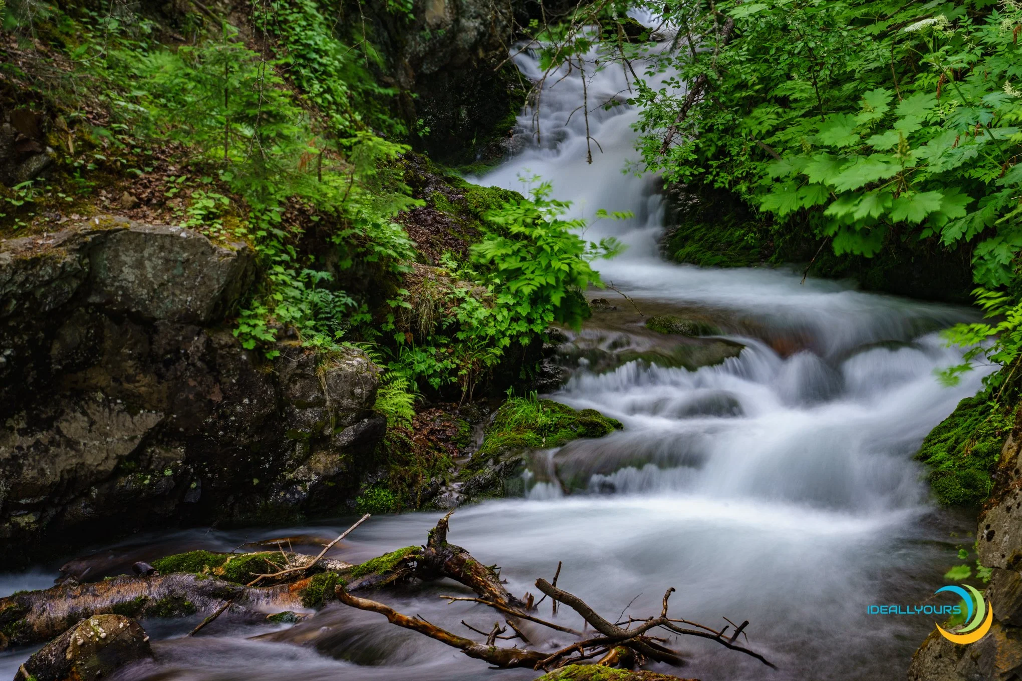 IDY06269-HDR_Anchroage Trip-  6-27-19_.JPG