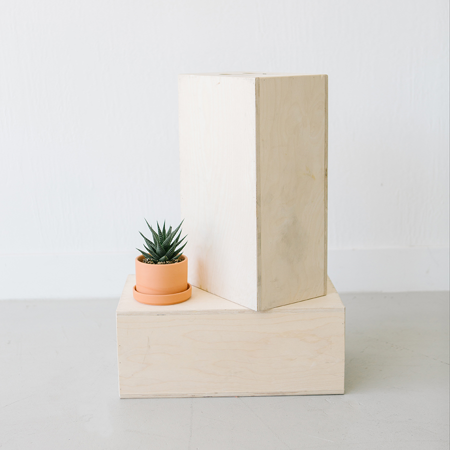 cactus in tericotta pot on photography apple boxes in natural light studio in pleasanton ca.jpg