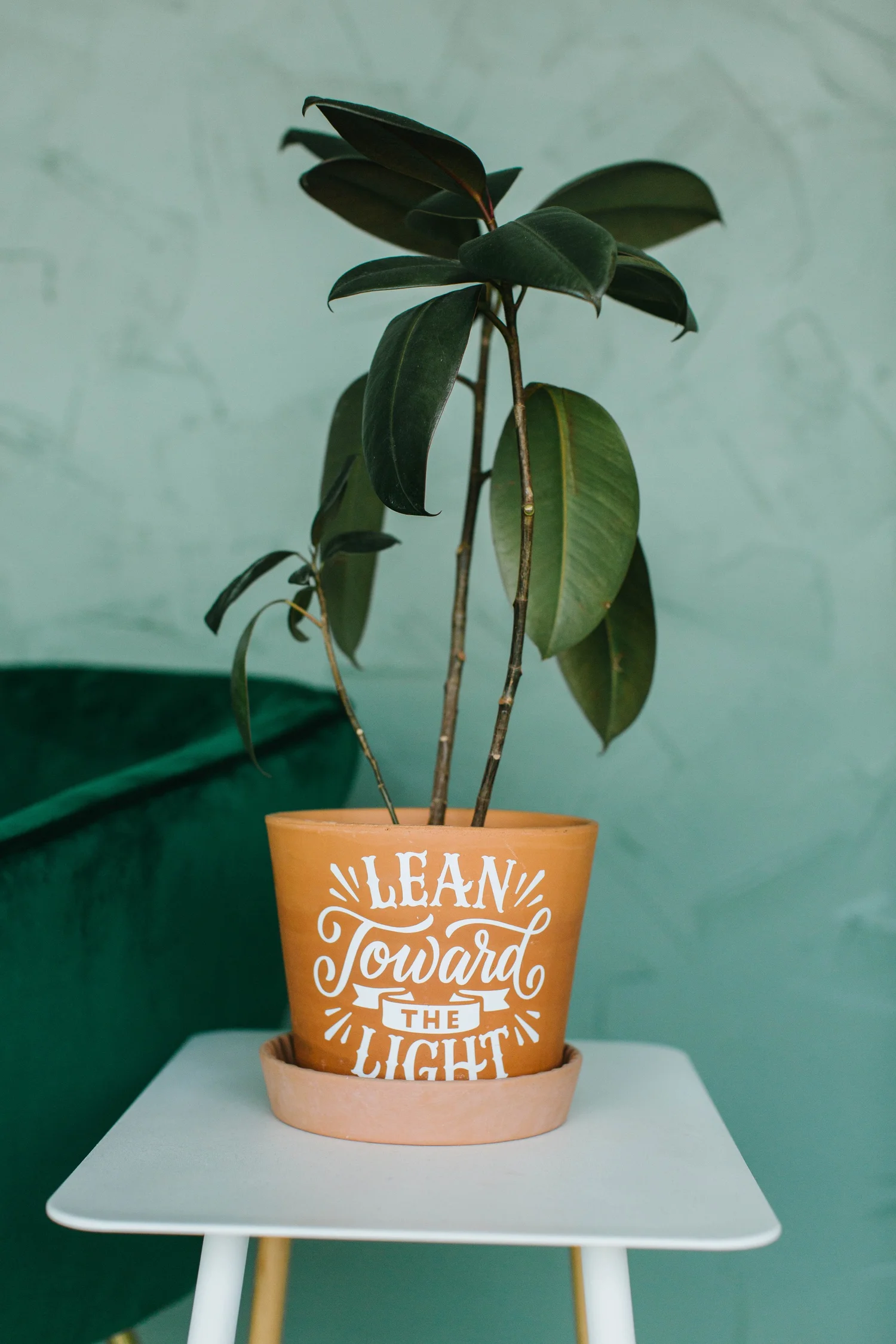 3 things to know before you shoot in a natural light studio for the ...