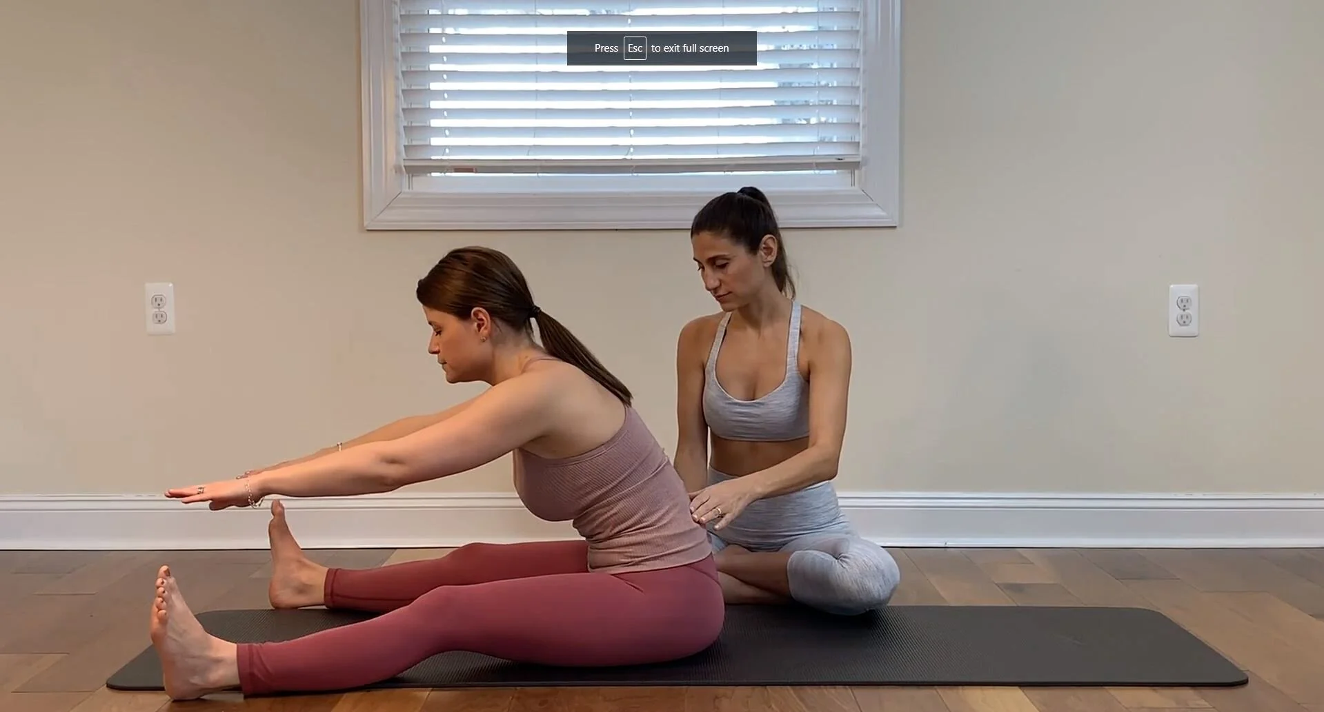 Postnatal Level 2: 12 Weeks to 12 Months Postpartum