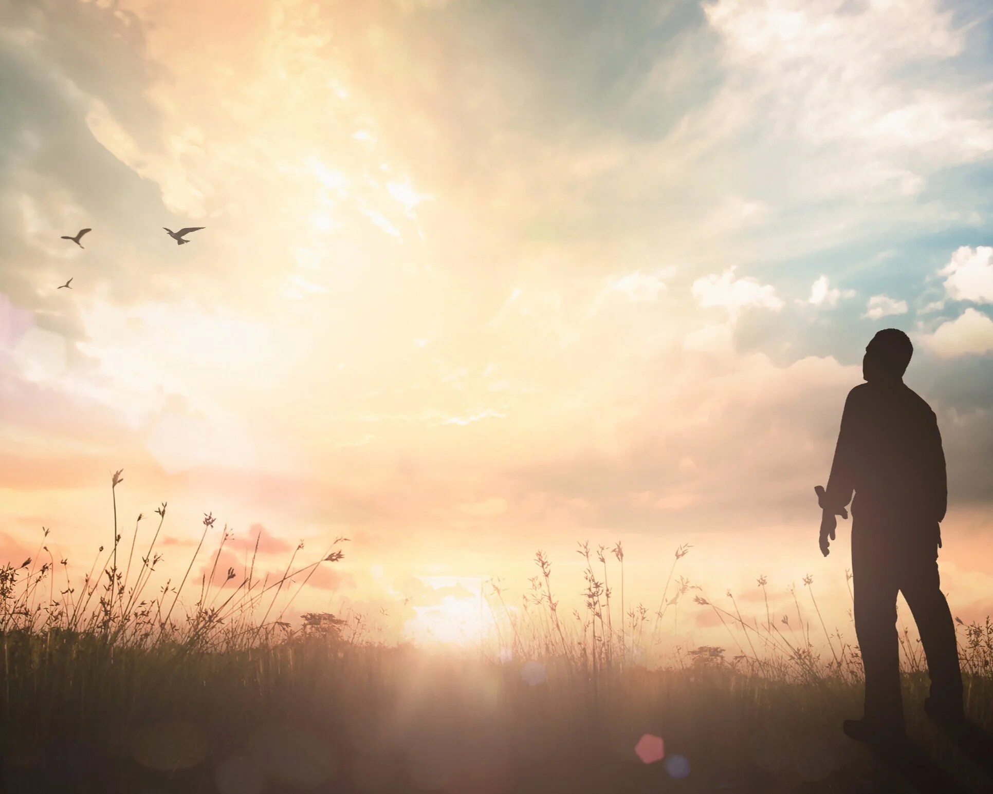 The Promise of Resurrection