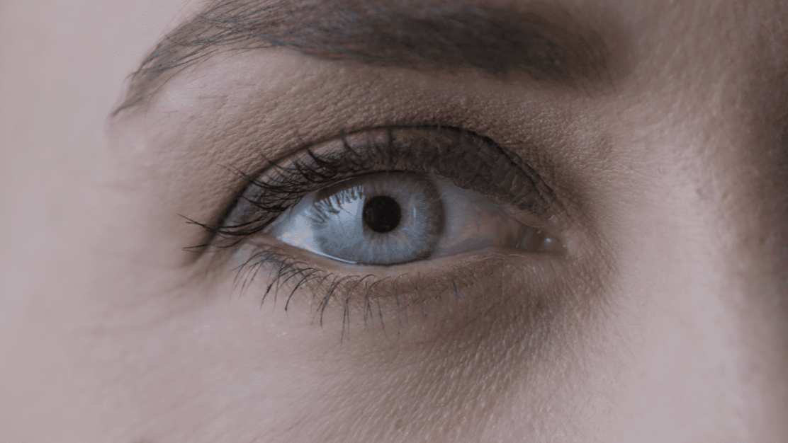 Nico Carbonaro Reel