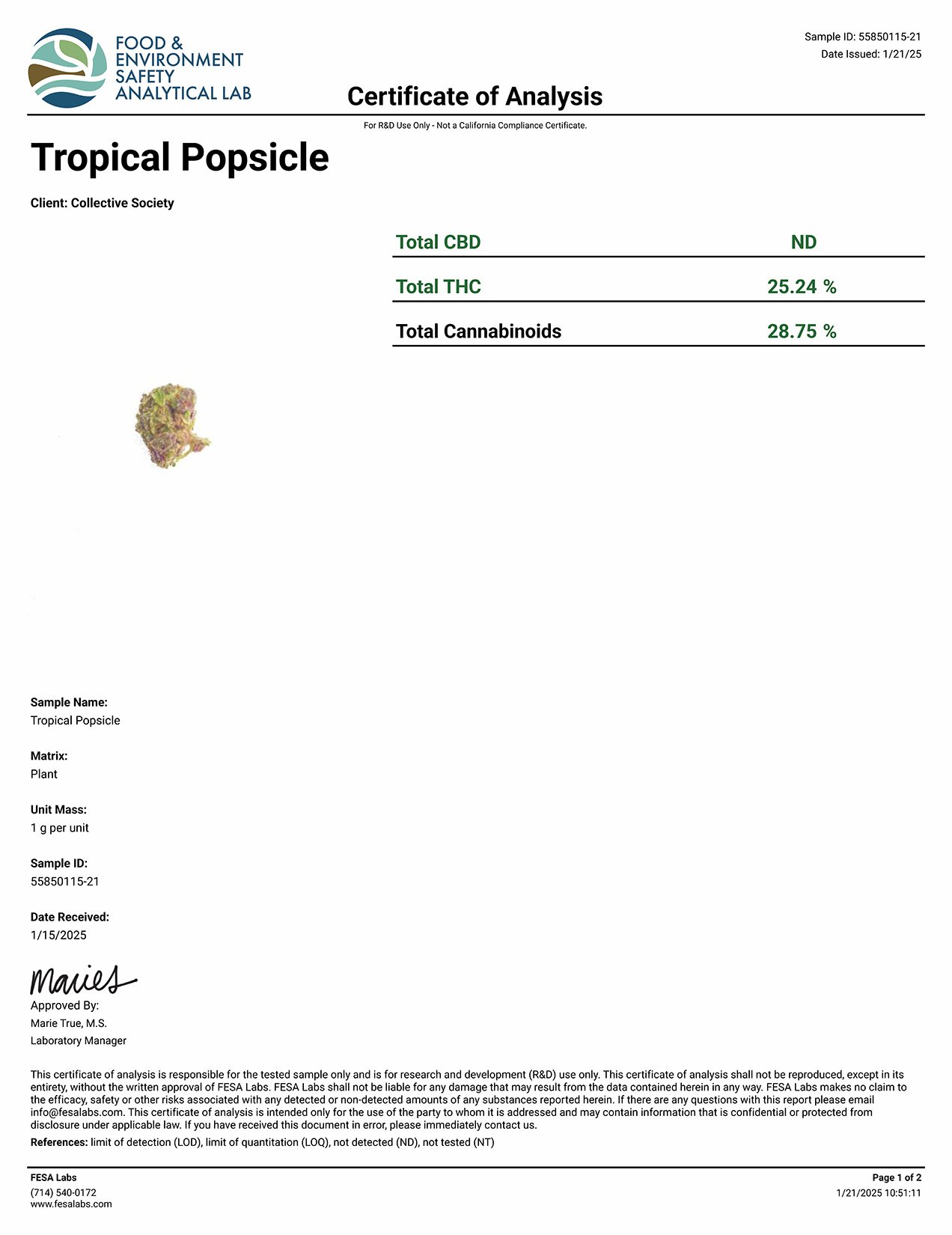 Tropical Popsicle COA_Page_1.jpg
