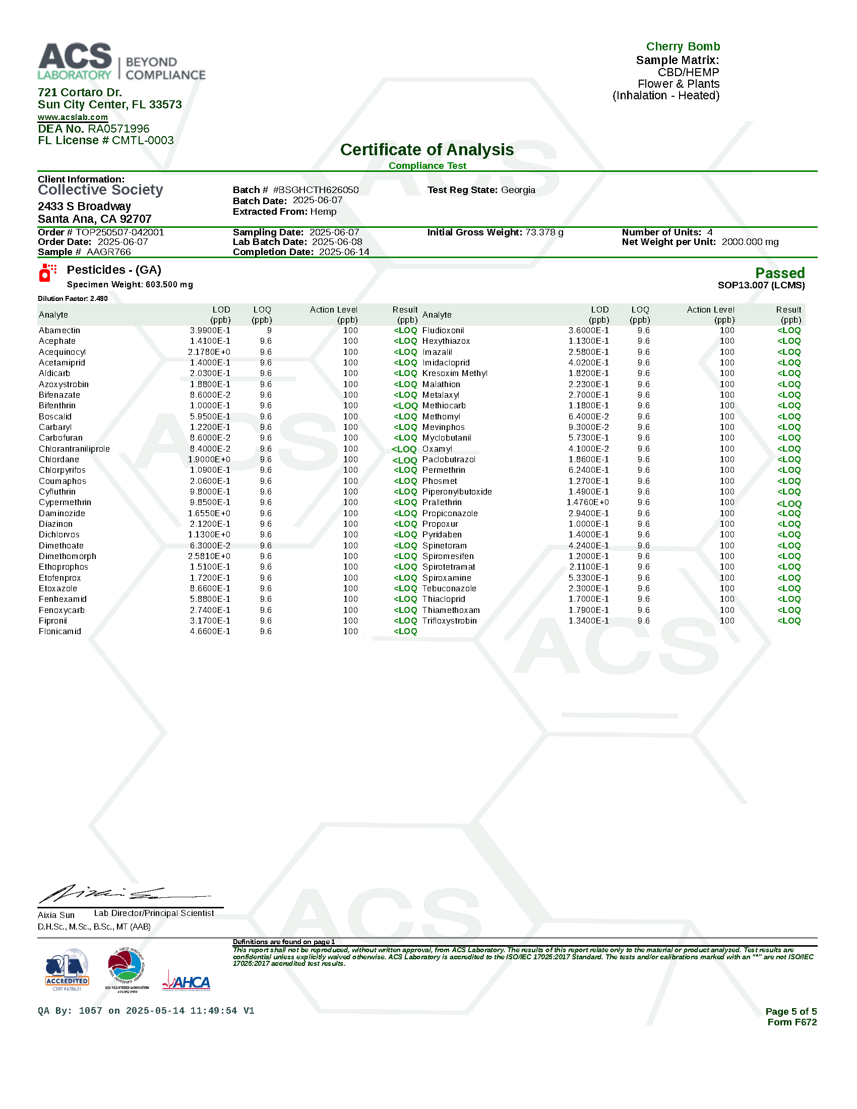 CS Cherry Bomb_Page_5.png
