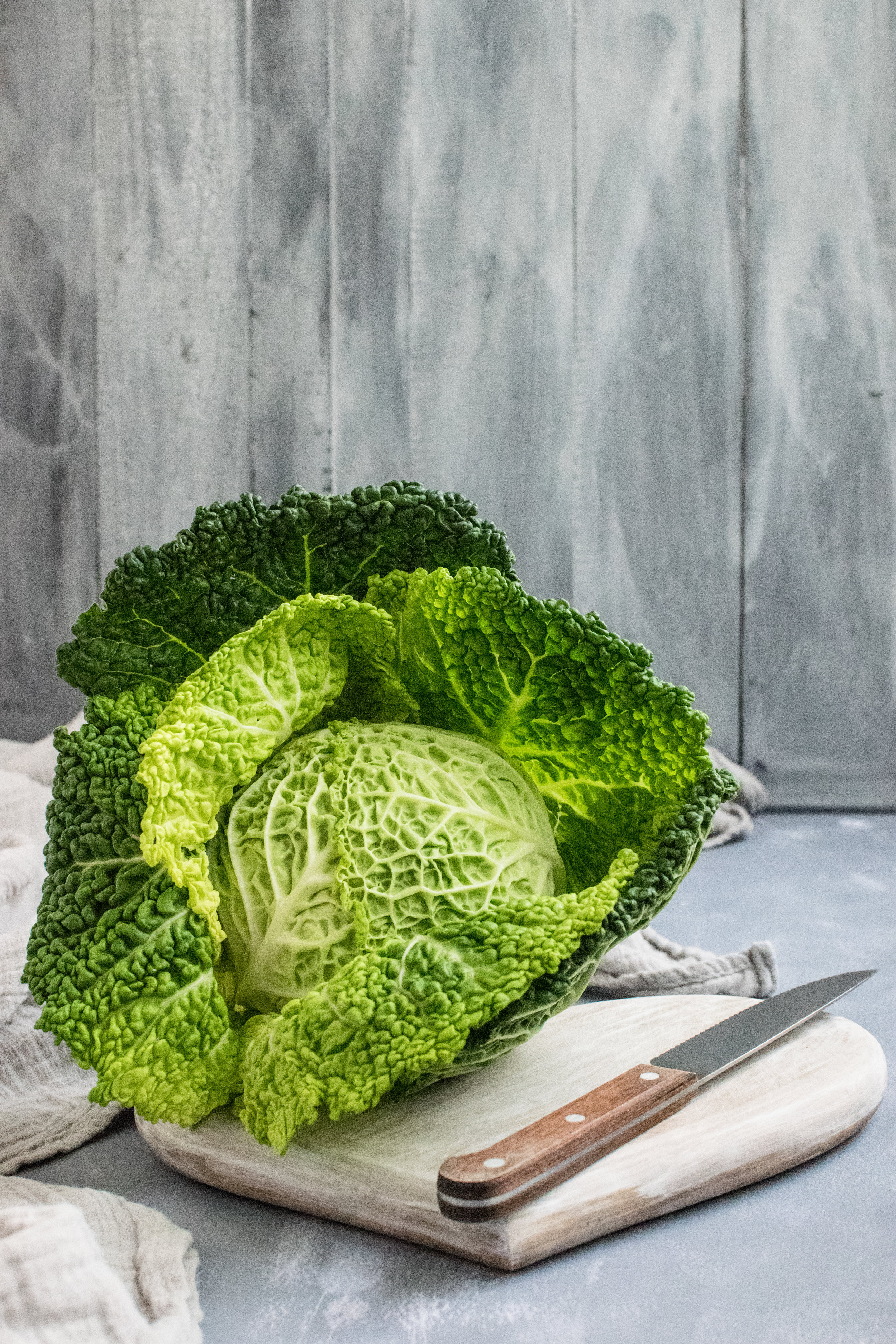 Cabbage