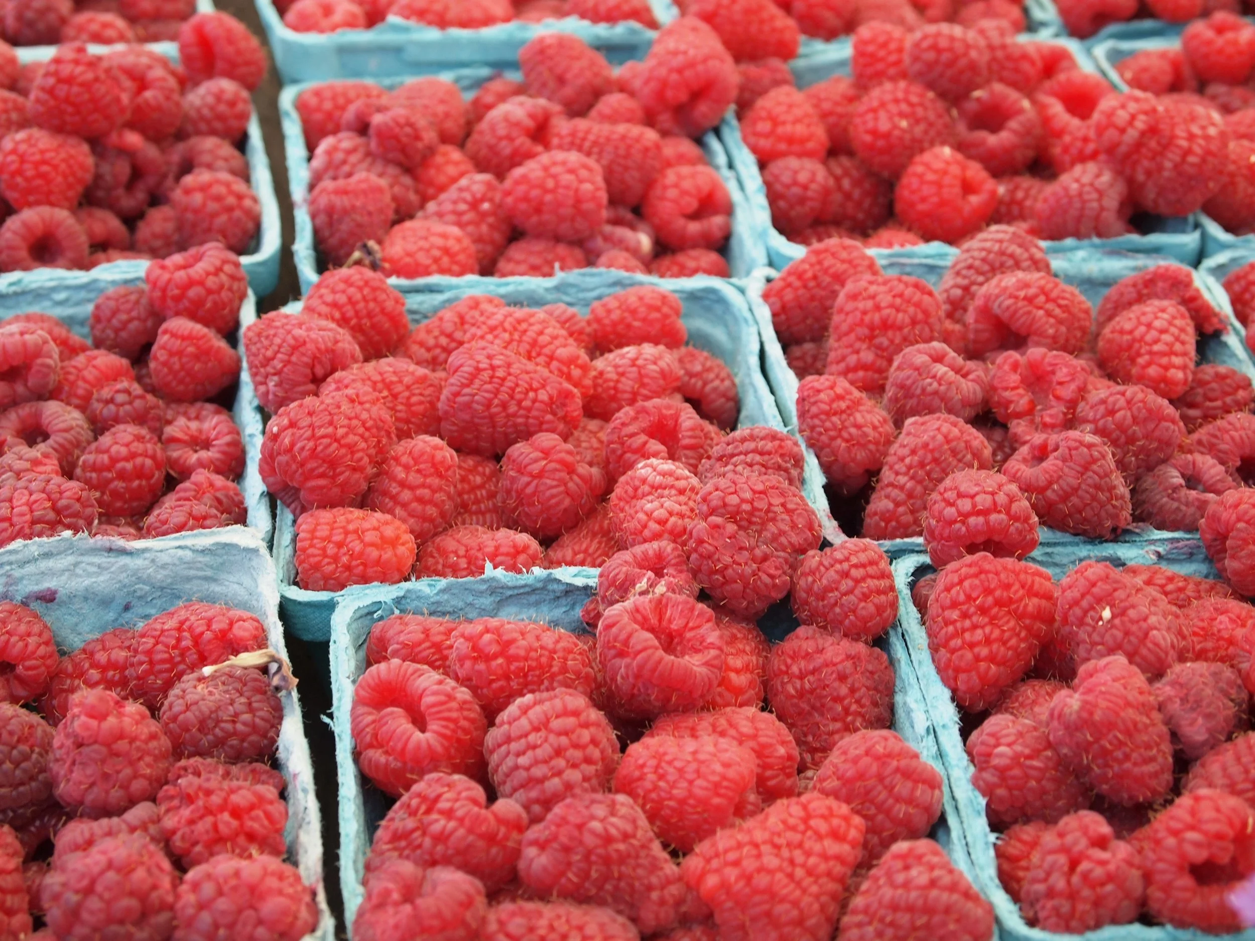 Rasberry