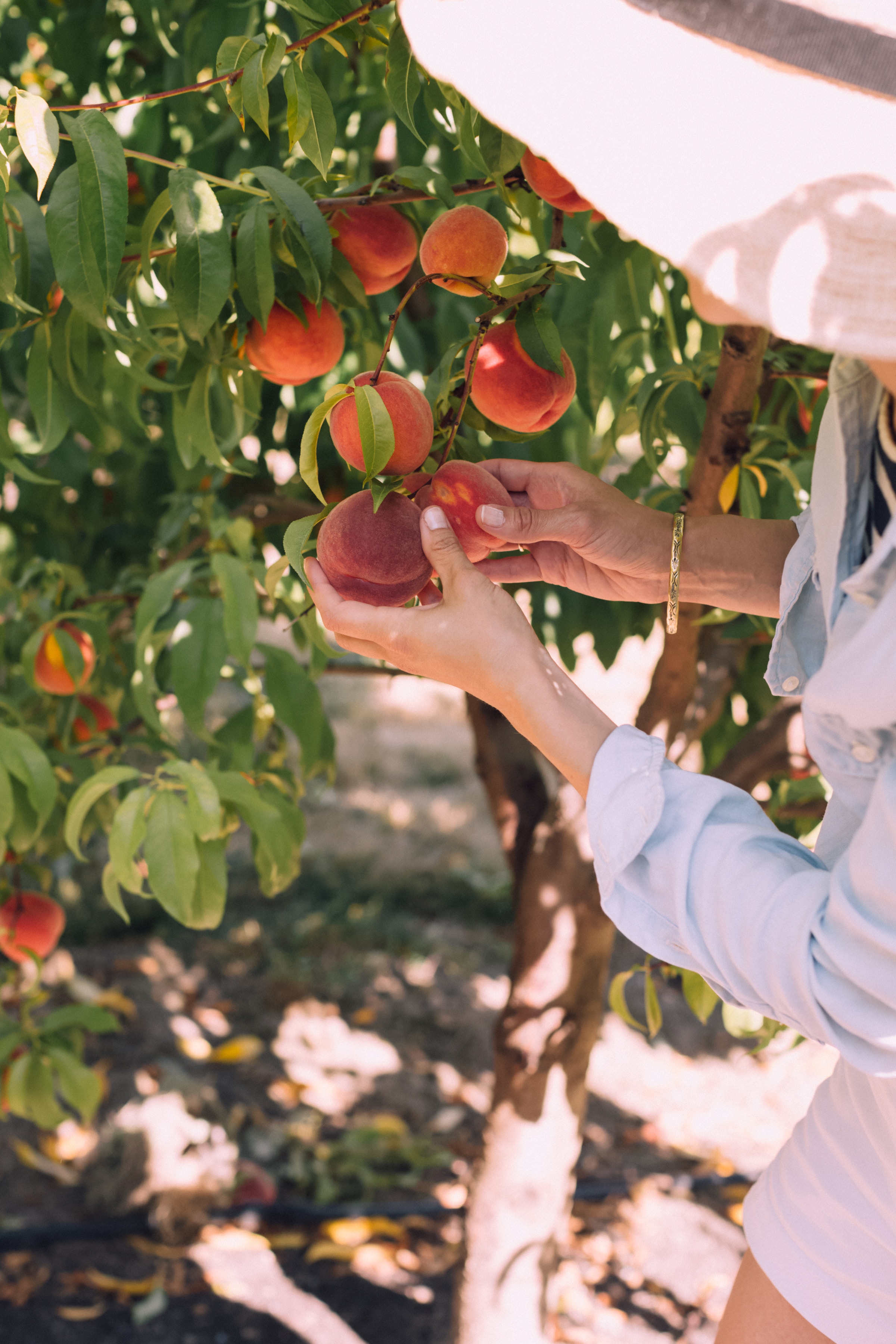 Peaches