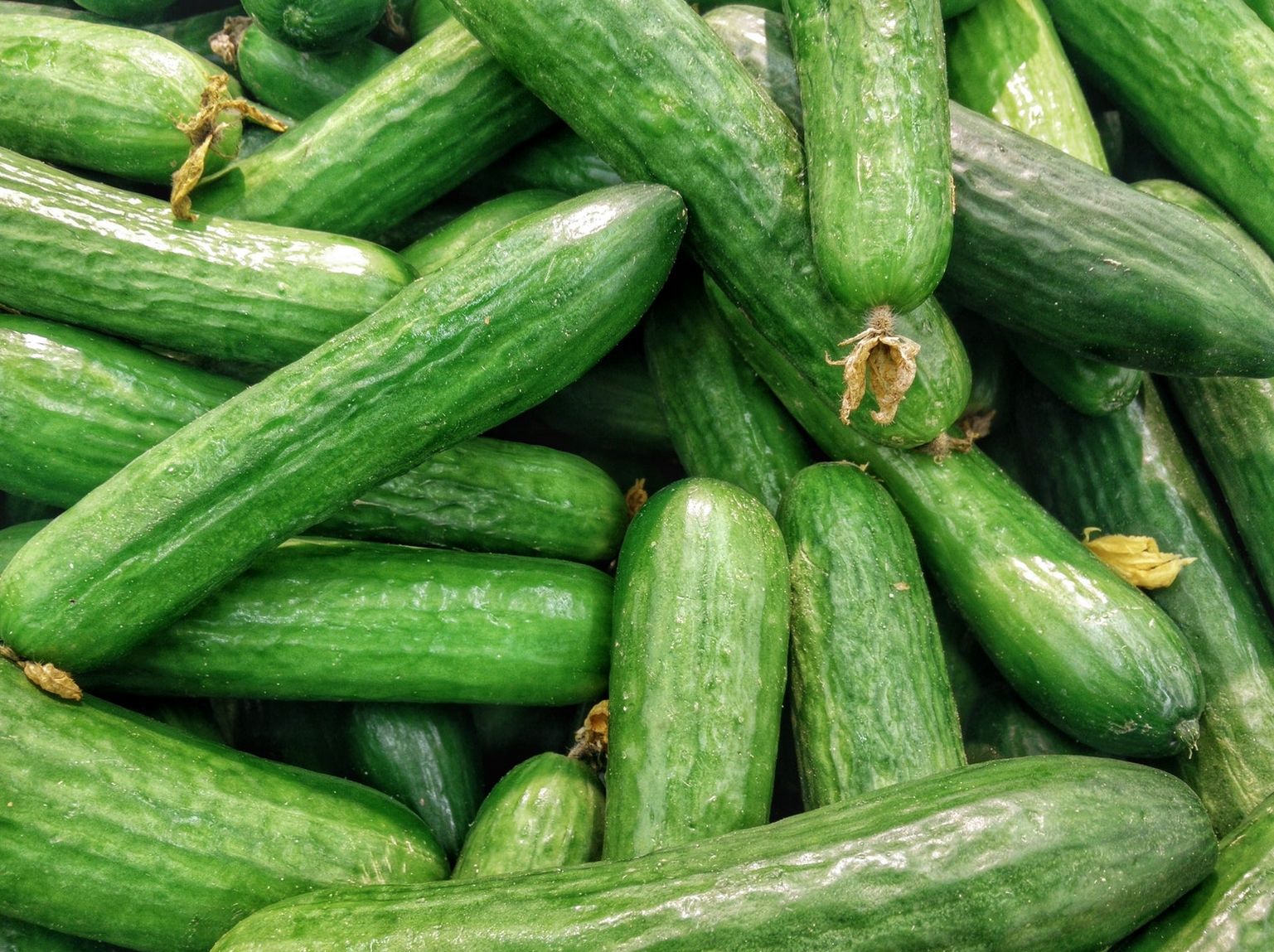 Cucumbers