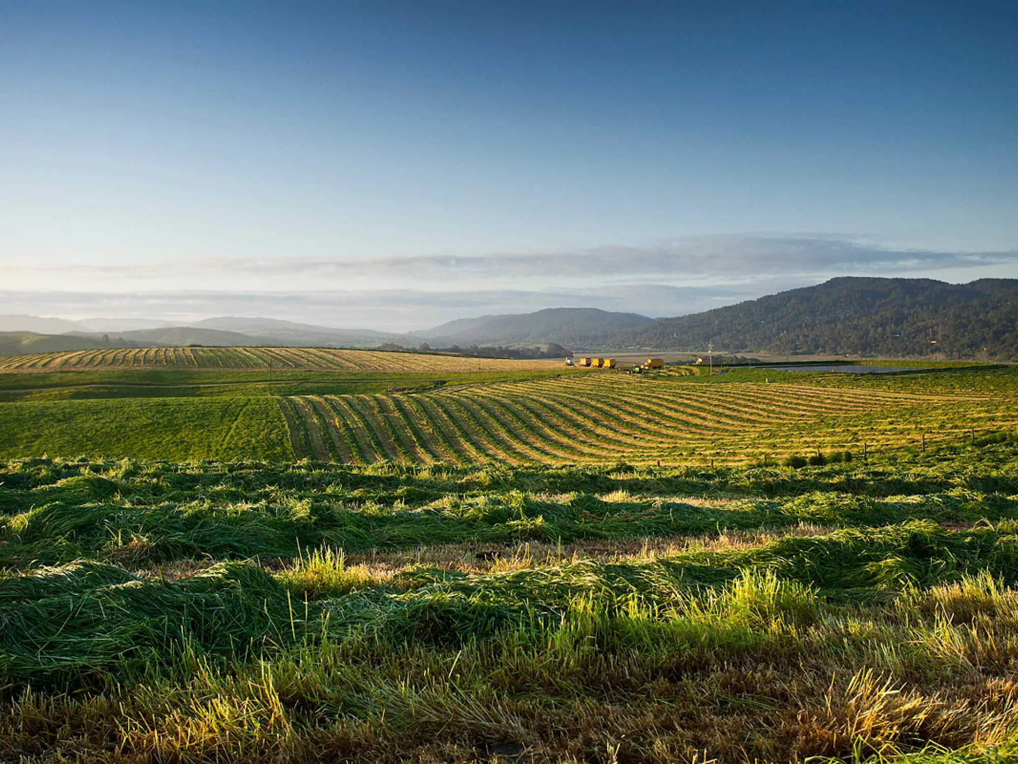 farm_header.jpg