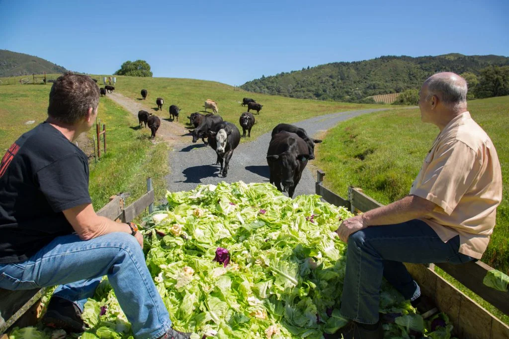 Rick-Chris-Feeding-Cows-1024x683.jpg