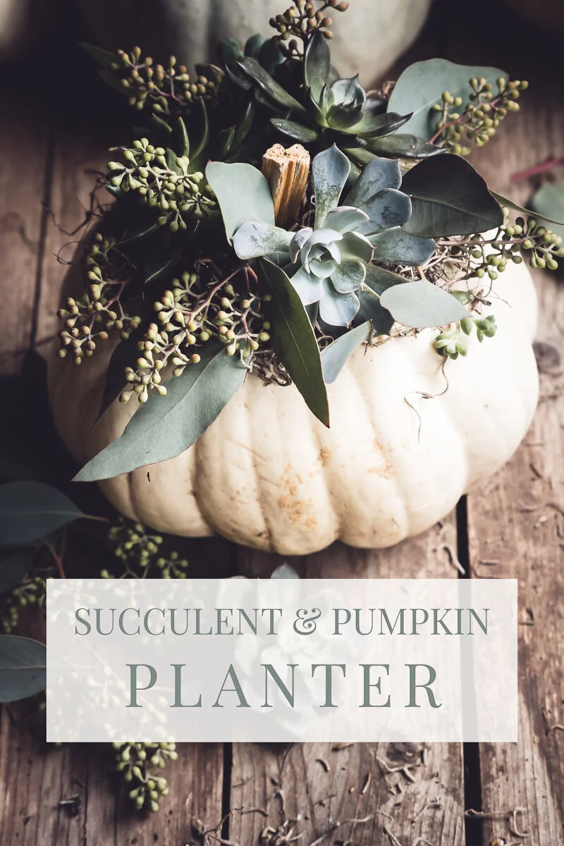 MINDINGMYNEST_SUCCULENT-PUMPKIN-PLANTER_PIN.jpg