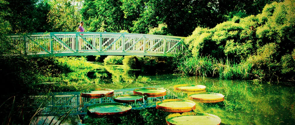 top-6-parks-articles-header.jpg