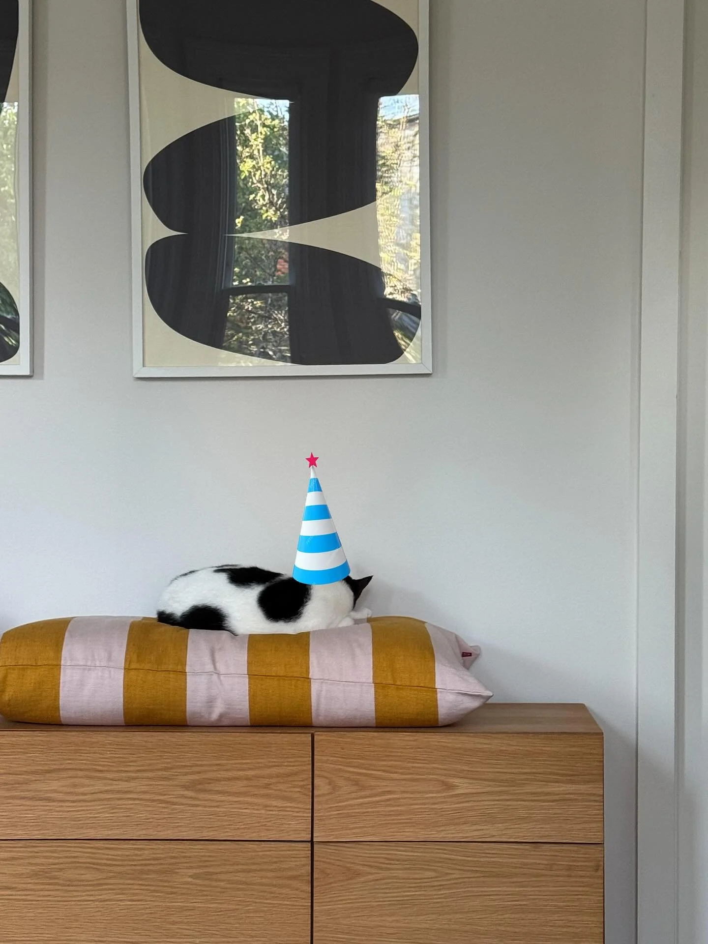 Happy birthday to these little beans who are one year old today. 🥳