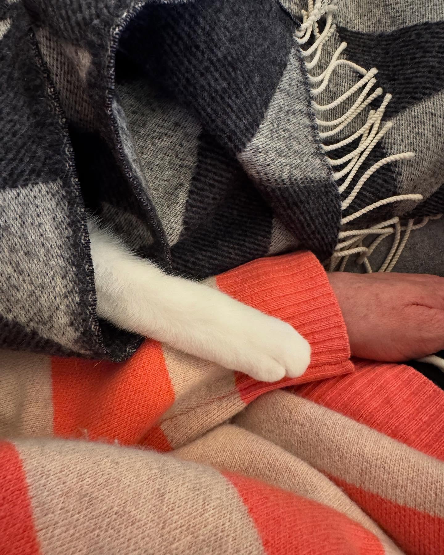 Rainy weekend vibes. ☔