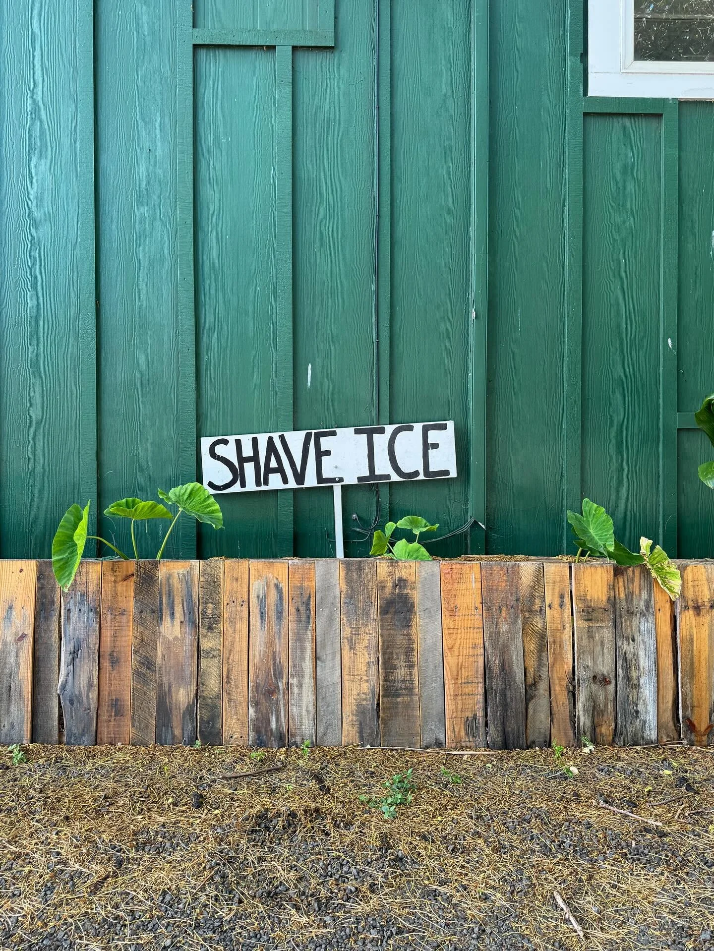 We&rsquo;re in Hawaii for a few days. #aloha