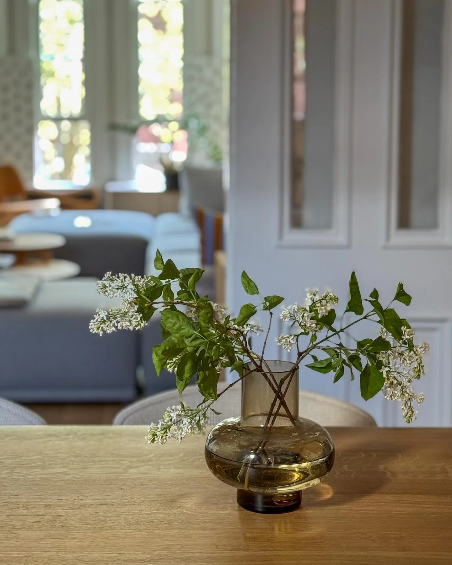 We are renovating the back garden with native plants next year, so sadly the lilacs will have to go. But in the meantime, the windows are open and the dining room is filled with the scent of lilacs. 💟