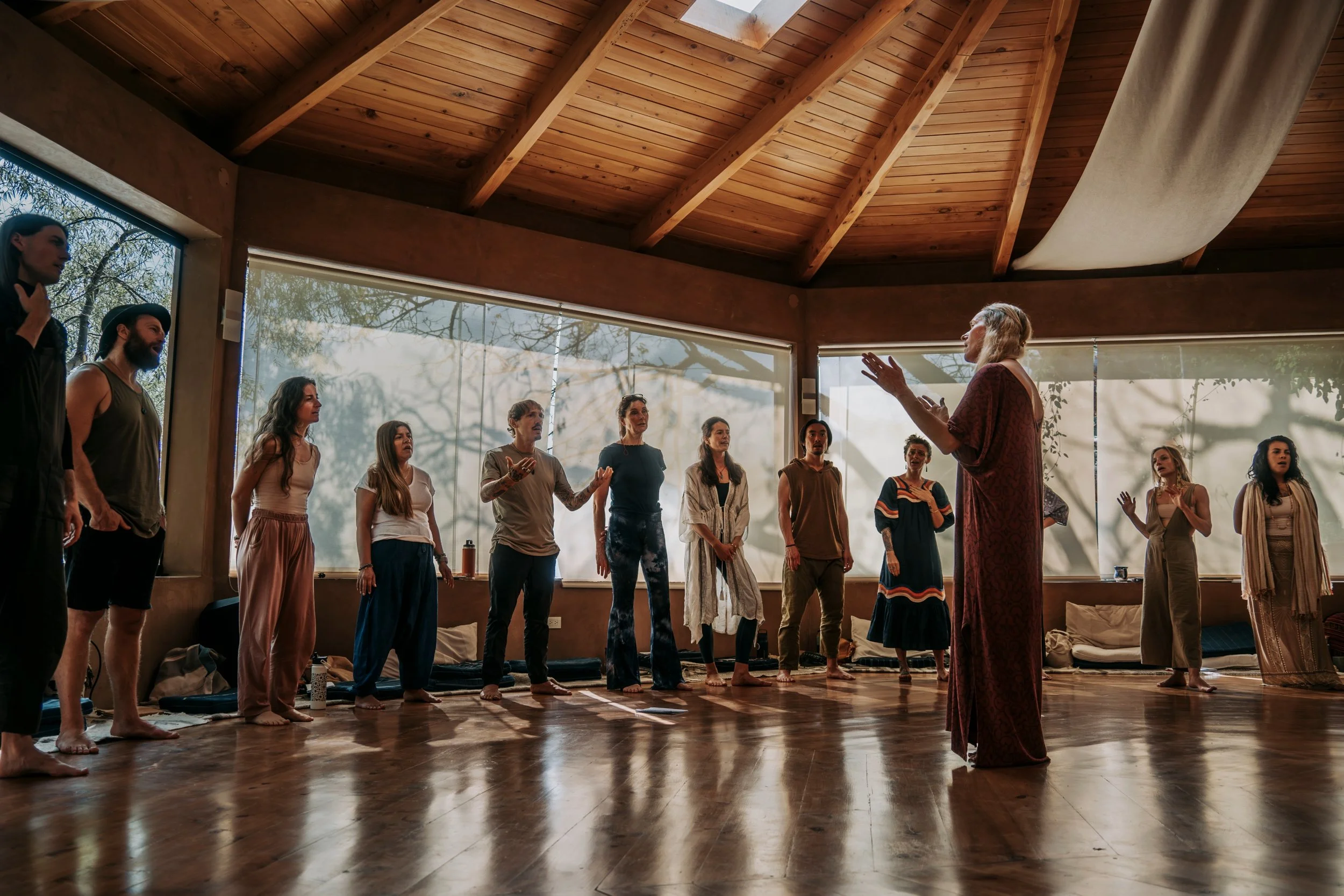 Voice Medicine Retreat