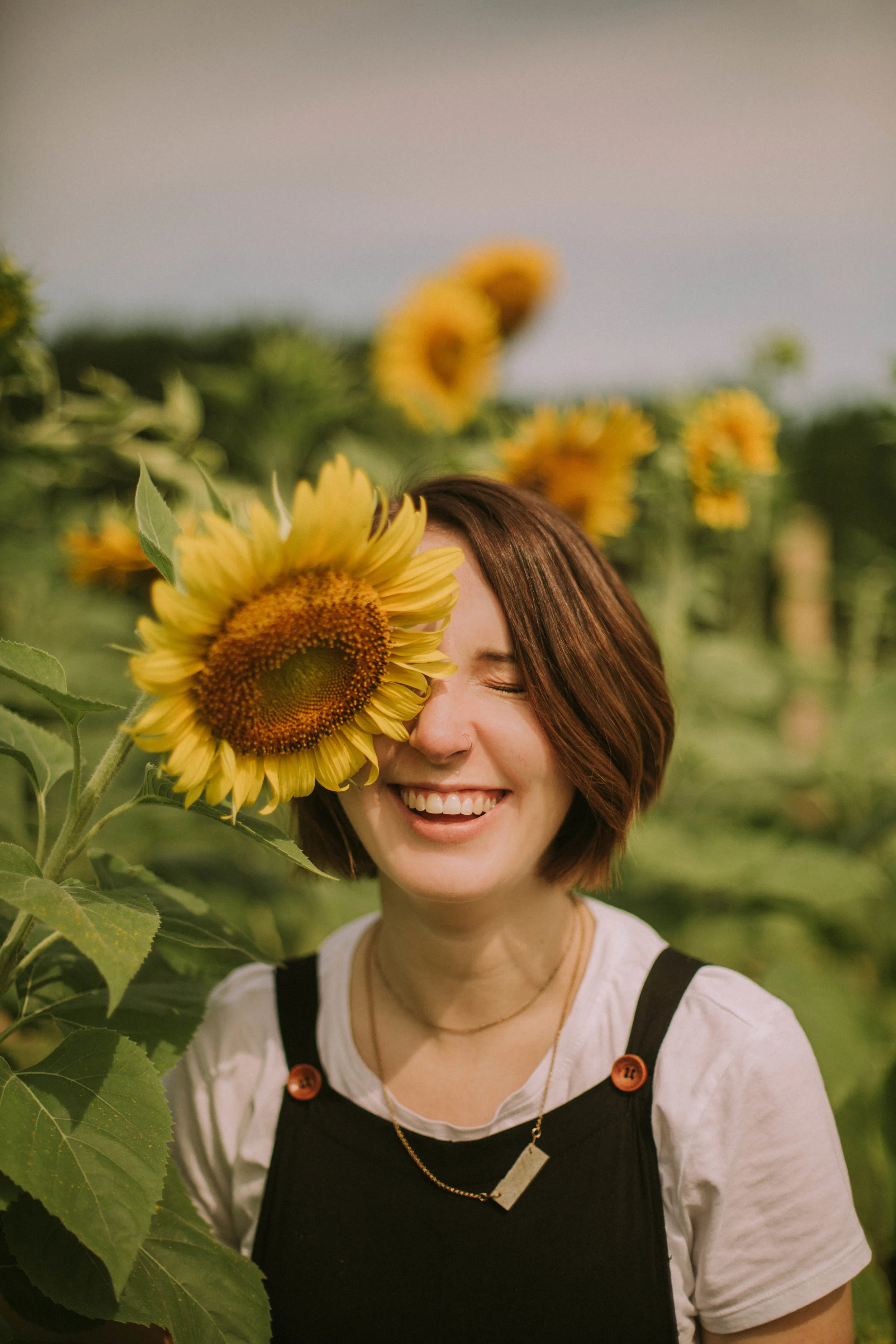 Sunflowers of Dorothea Dix Park 