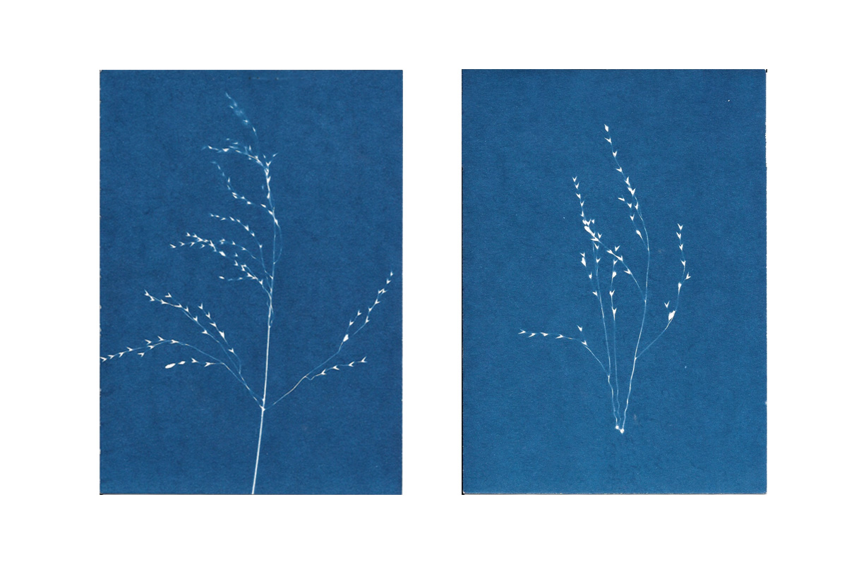Home Diptych