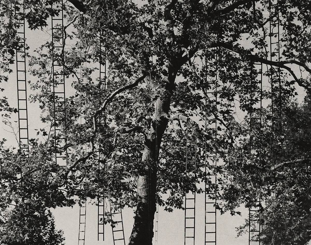 Land Art (Chaumont-sur-Loire)