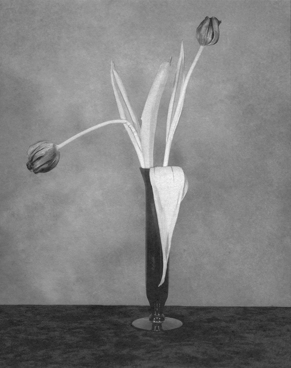 Flower Series #123