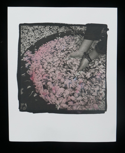 Meagan's Floating Cherry Blossoms