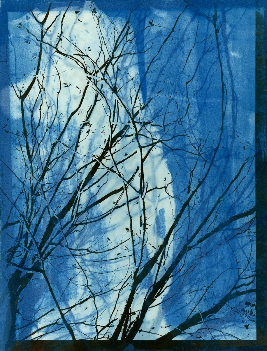 Blue Winter Shadow
