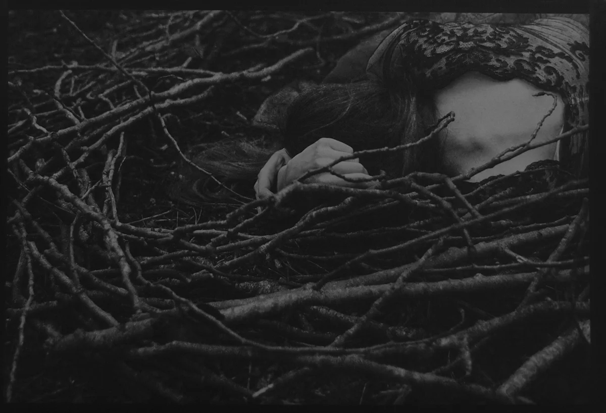 Songs of the Bleeding Throat