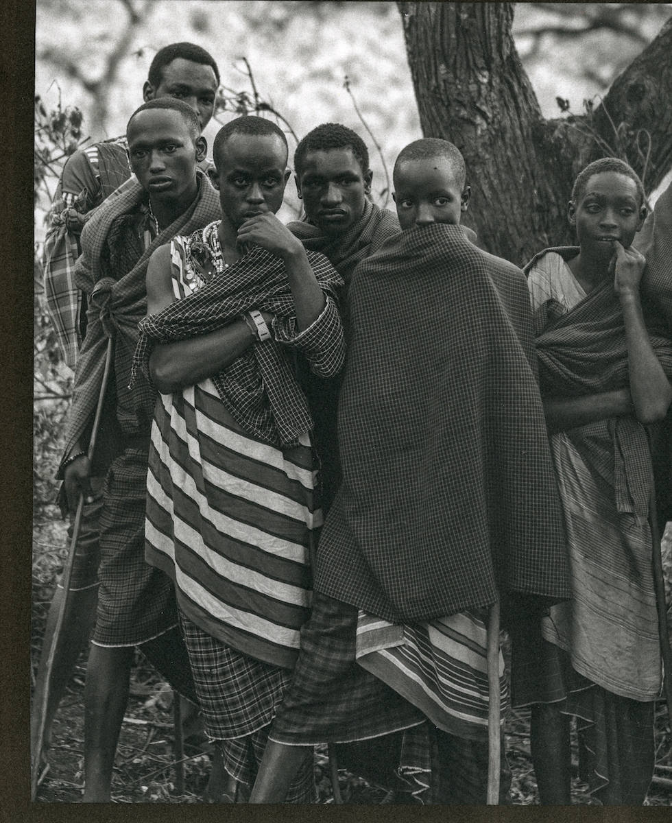 Maasai Warriors