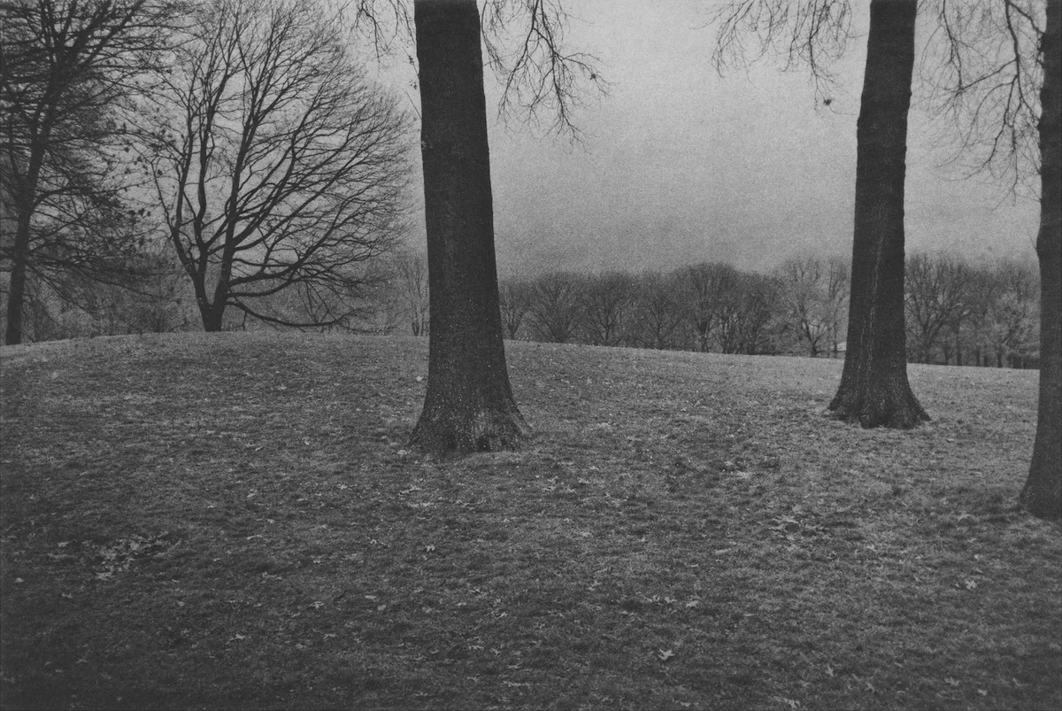 Park III, 2018